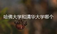 哈佛大學(xué)和清華大學(xué)哪個比較好？ 哈佛大學(xué)vs清華大學(xué)