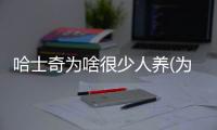 哈士奇為啥很少人養(為什么那么多人養哈士奇)