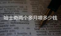 哈士奇兩個多月喂多少錢狗糧(哈士奇兩個月吃多少)