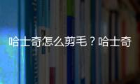 哈士奇怎么剪毛？哈士奇怎么剃毛好看