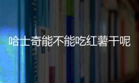 哈士奇能不能吃紅薯干呢？哈士奇可以吃地瓜干嗎