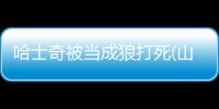 哈士奇被當成狼打死(山東哈士奇被當成狼打死)