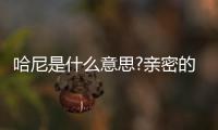 哈尼是什么意思?親密的戀人或閨蜜間的稱呼(honey音譯)