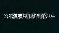 哈爾濱家具市場亂象叢生 協(xié)會:不講誠信清除出場