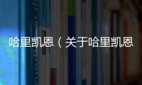 哈里凱恩（關于哈里凱恩的基本情況說明介紹）