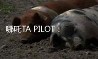 哪吒TA PILOT：華為MDC平臺+主機廠軟件自研