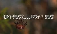 哪個集成灶品牌好？集成灶選購技巧