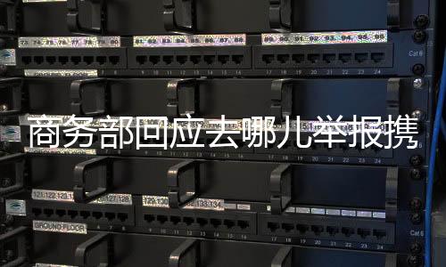 商務部回應去哪兒舉報攜程壟斷：已約談調查