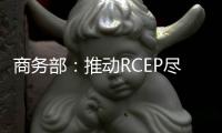 商務部：推動RCEP盡早生效 更快惠及廣大企業