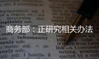 商務部：正研究相關辦法加強進口促進貿易平衡