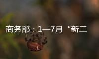 商務部：1—7月“新三樣”出口增長51%