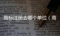 商標(biāo)注冊去哪個(gè)單位（商標(biāo)注冊去哪里辦）