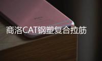 商洛CAT鋼塑復(fù)合拉筋帶規(guī)格齊全