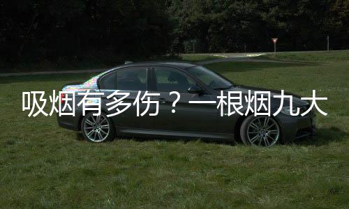 吸煙有多傷？一根煙九大疾病找上門