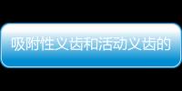 吸附性義齒和活動義齒的區別，吸附性/活動義齒的價格和優缺點