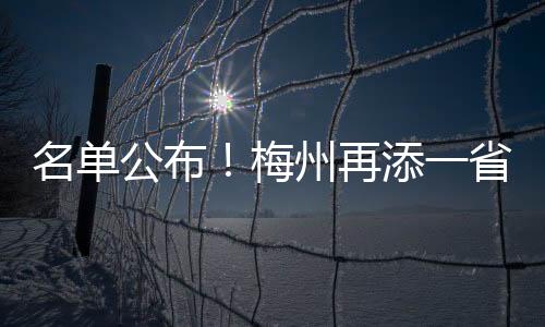 名單公布！梅州再添一省級巾幗創業基地