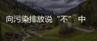 向污染排放說“不” 中國機動車排放召回新規“亮劍”