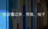 吃貨看過來，帶魚、梭子蟹、蝦蛄……這8種海鮮5月1日起將禁售