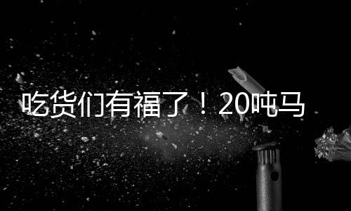 吃貨們有福了！20噸馬來西亞貓山王榴蓮運(yùn)抵欽州港