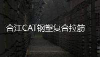 合江CAT鋼塑復合拉筋帶齊全