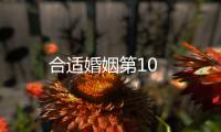 合適婚姻第10