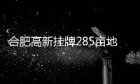 合肥高新掛牌285畝地塊 需自持10萬㎡購物中心及2萬㎡商業(yè)街