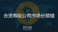 合資壽險公司市場份額縮水 保險公司股權轉讓頻繁