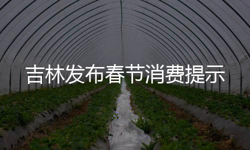 吉林發布春節消費提示