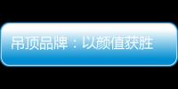 吊頂品牌：以顏值獲勝 以品質為王