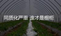 同質化嚴重 誰才是櫥柜行業的黑馬?