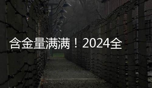 含金量滿滿！2024全球產業數字化創新榜，徐工“連中三元”！