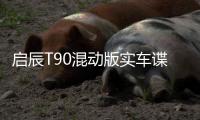 啟辰T90混動版實車諜照曝光 2.0L動力