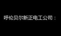 呼倫貝爾新正電工公司：守正創(chuàng)新練新兵 夯實(shí)基礎(chǔ)展未來(lái)