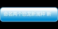 命名兩個恐龍新屬種 新疆哈密首次發現恐龍“巨無霸”—新聞—科學網