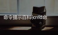 命令提示百科(cmd命令百科)