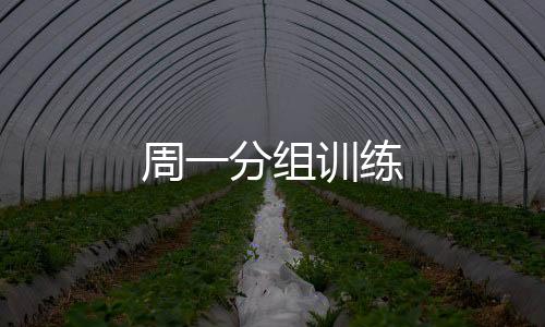 周一分組訓練