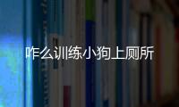 咋么訓練小狗上廁所