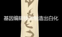 基因編輯技術(shù)制造出白化蜥蜴