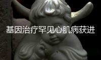 基因治療罕見心肌病獲進展，推出新款藥物