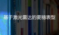 基于激光雷達(dá)的麥穗表型定量化研究及其應(yīng)用