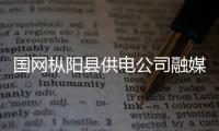 國網(wǎng)樅陽縣供電公司融媒體工作站正式揭牌成立