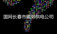 國網長春市城郊供電公司：黨建引領審計工作 助力企業高質量發展