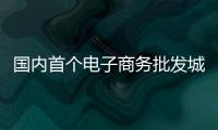 國內首個電子商務批發城落戶“武漢北”