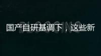 國產自研基調下，這些新興企業找到了突破之道