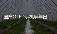 國產OLED手機屏年出貨量將打破4000萬片,行業資訊