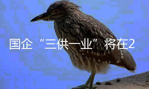 國(guó)企“三供一業(yè)”將在2018年底前基本分離移交完成