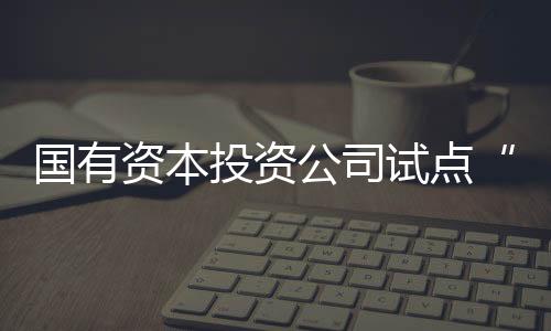 國有資本投資公司試點“試”出了什么？