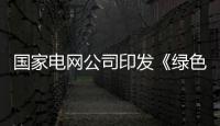 國家電網公司印發《綠色現代數智供應鏈發展行動方案》