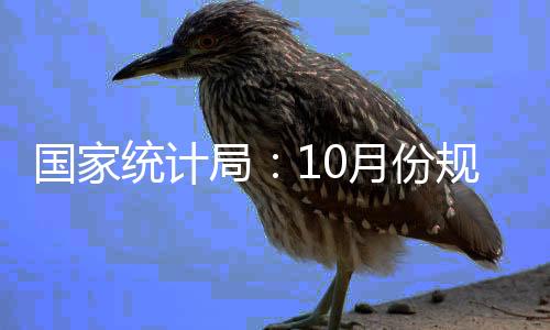 國家統計局：10月份規模以上工業增加值增長4.6%