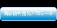 國家植物園花開兩朵—新聞—科學網